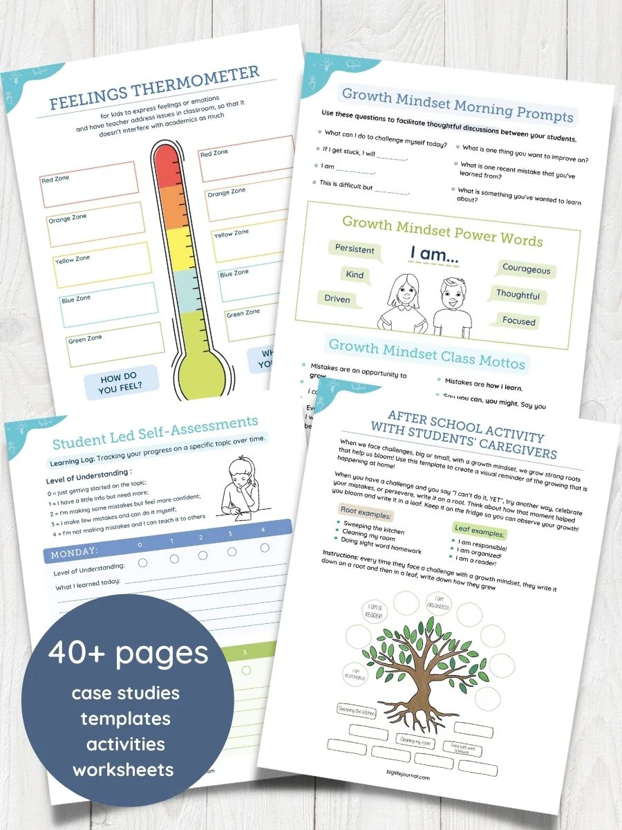 Growth Mindset in the Classroom Conference - School-Wide License - Image 5